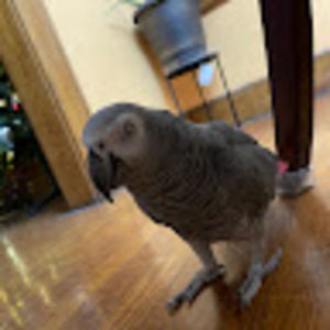 Meet your Posher, Enrique